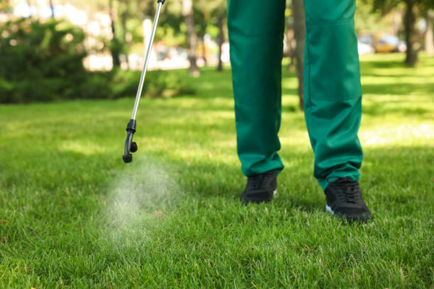 Best Affordable Pest Control Services  in Buhl, ID