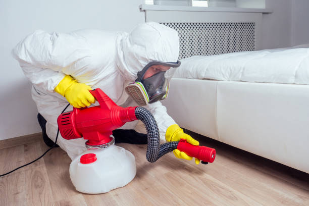 Best Best Pest Control Companies  in Buhl, ID